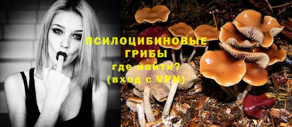 бутират Алексин